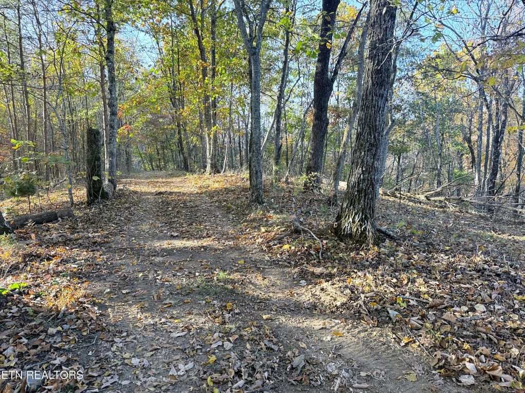 Photo of 6 Topaz Way, Parrottsville, TN 37843 (MLS # 1282053)