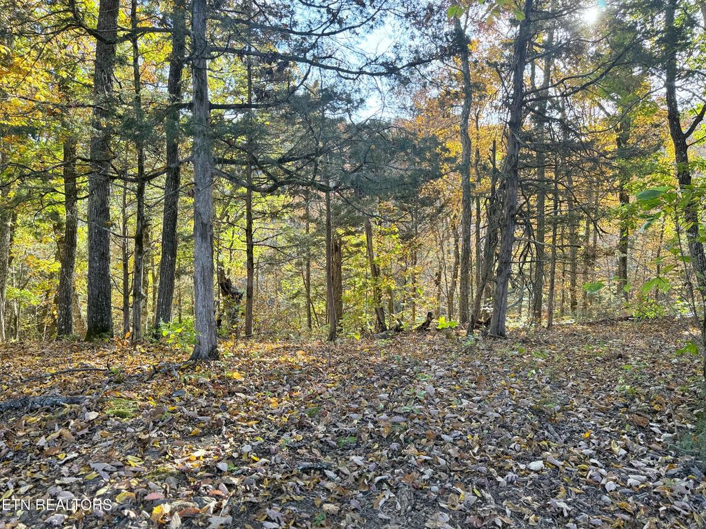 Photo of 6 Topaz Way, Parrottsville, TN 37843 (MLS # 1282053)