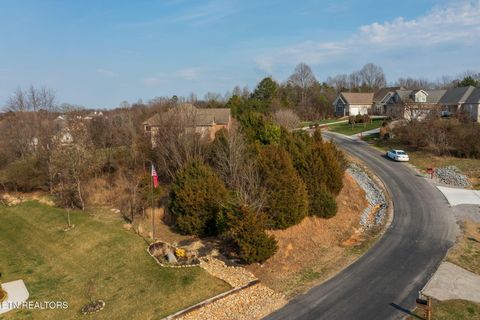 Tiny photo for 265 Walelu Tr, Vonore, TN 37885 (MLS # 1330625)