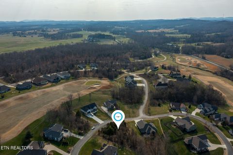 Tiny photo for 265 Walelu Tr, Vonore, TN 37885 (MLS # 1330625)
