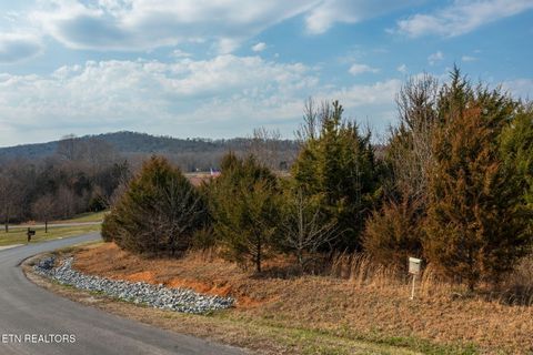 Tiny photo for 265 Walelu Tr, Vonore, TN 37885 (MLS # 1330625)