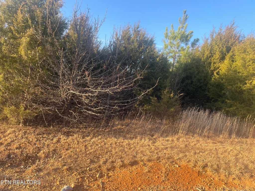 Photo of 265 Walelu Tr, Vonore, TN 37885 (MLS # 1330625)