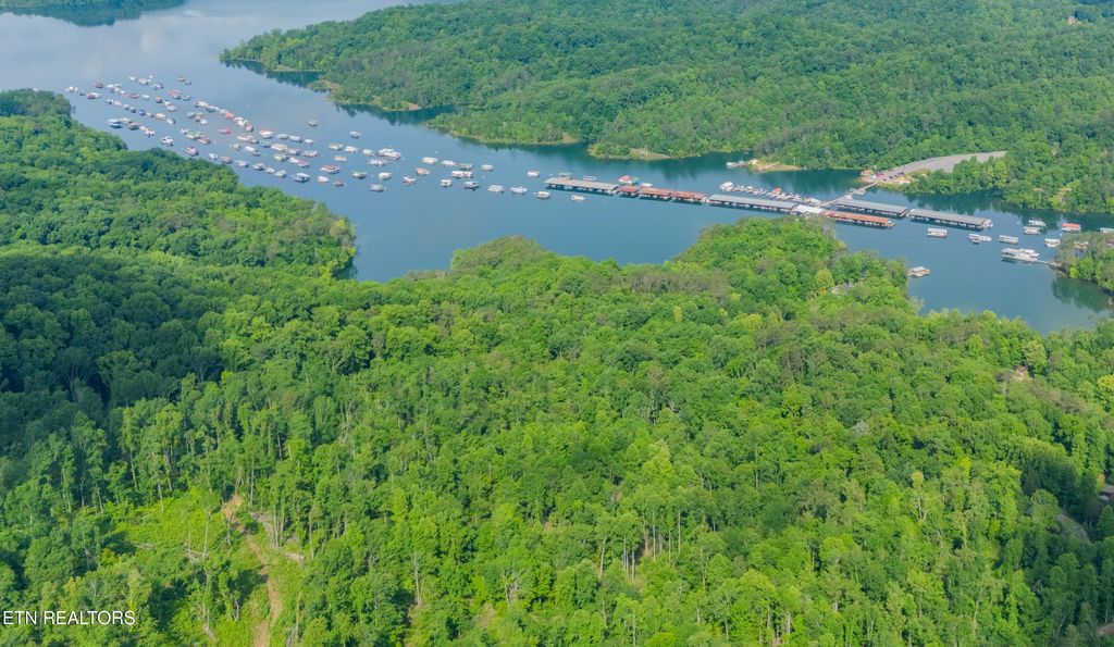 Photo of Lake Lane, New Tazewell, TN 37825 (MLS # 1318392)