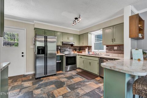 Tiny photo for 539 Apollo Drive, Spring City, TN 37381 (MLS # 1285697)