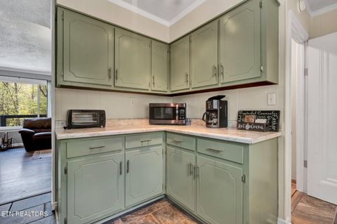 Tiny photo for 539 Apollo Drive, Spring City, TN 37381 (MLS # 1285697)