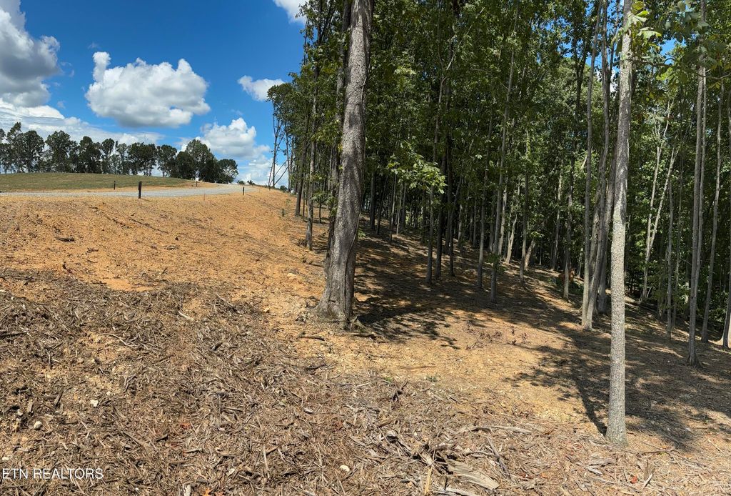 Photo of 121 Cherry Tree Lane, Loudon, TN 37774 (MLS # 1335930)