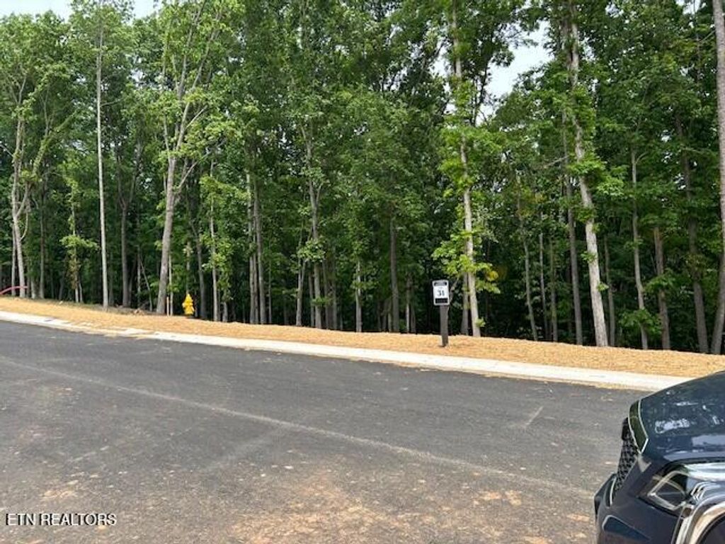 Photo of 121 Cherry Tree Lane, Loudon, TN 37774 (MLS # 1335930)