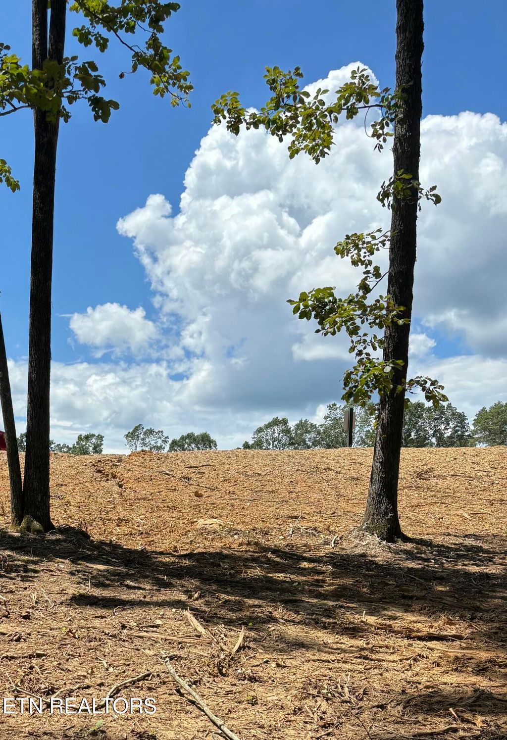 Photo of 121 Cherry Tree Lane, Loudon, TN 37774 (MLS # 1335930)