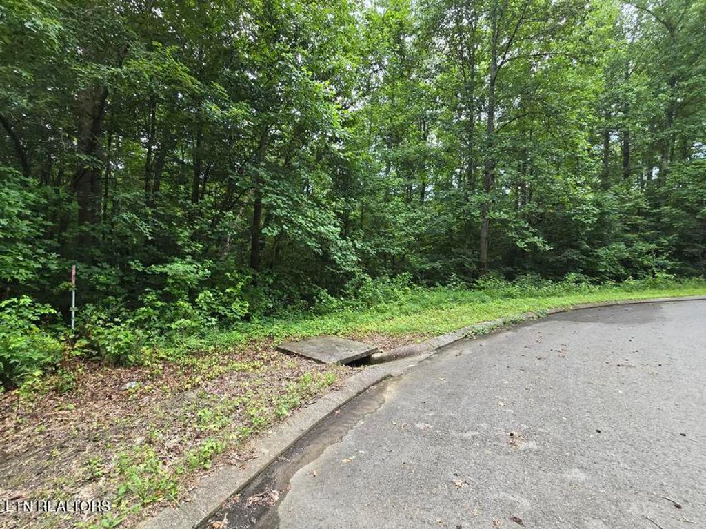 Photo of Lot 133 Lower Brow Rd, Dunlap, TN 37327 (MLS # 1348719)