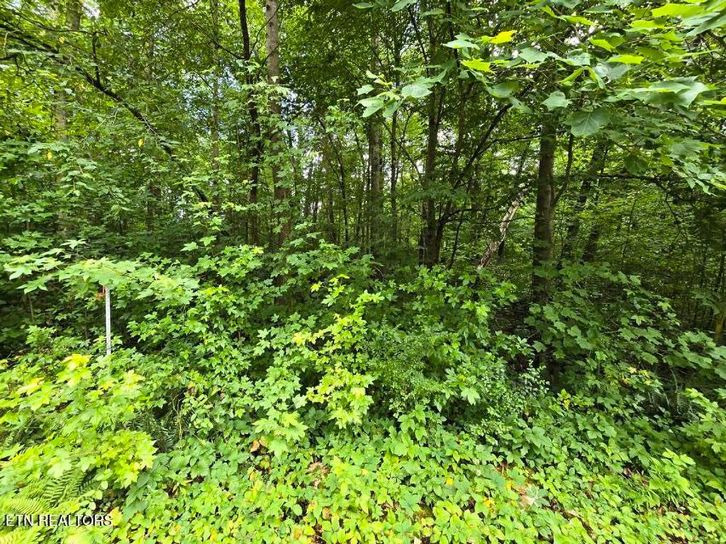 Photo of Lot 133 Lower Brow Rd, Dunlap, TN 37327 (MLS # 1348719)