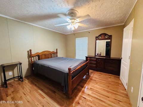 Tiny photo for 206 Randall Fugate Rd, Spring City, TN 37381 (MLS # 1316597)