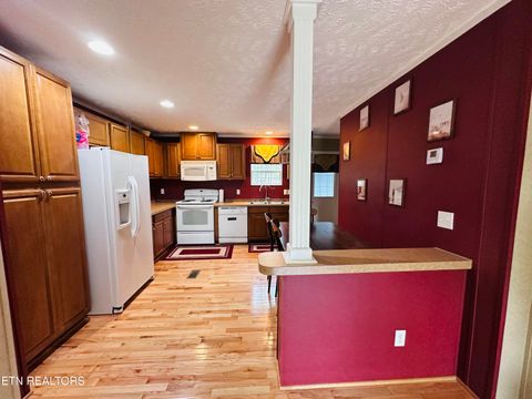 Tiny photo for 206 Randall Fugate Rd, Spring City, TN 37381 (MLS # 1316597)
