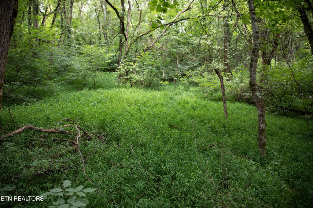 Photo of 0 Scenic View Drive, Cosby, TN 37722 (MLS # 1278150)