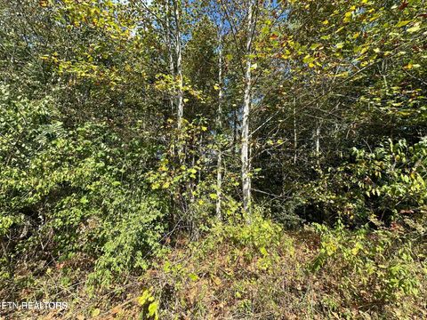 Tiny photo for 43 Old Hearth #43, LaFollette, TN 37766 (MLS # 1339794)