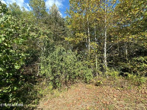 Tiny photo for 43 Old Hearth #43, LaFollette, TN 37766 (MLS # 1339794)