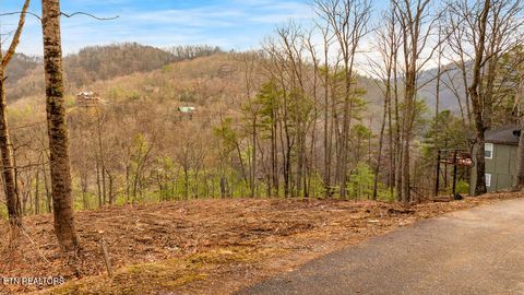 Tiny photo for 3129 Hatcher Top Rd, Sevierville, TN 37862 (MLS # 1331152)