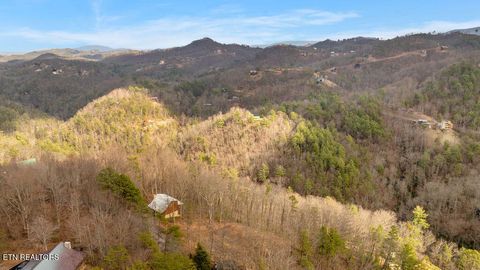 Tiny photo for 3129 Hatcher Top Rd, Sevierville, TN 37862 (MLS # 1331152)