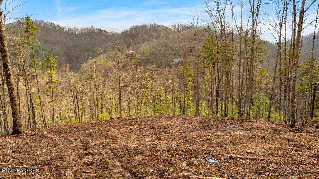 Photo of 3129 Hatcher Top Rd, Sevierville, TN 37862 (MLS # 1331152)