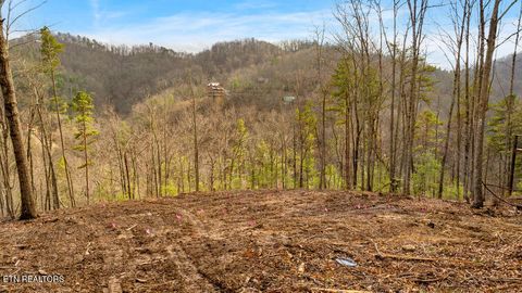 Tiny photo for 3129 Hatcher Top Rd, Sevierville, TN 37862 (MLS # 1331152)