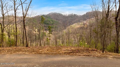 Tiny photo for 3129 Hatcher Top Rd, Sevierville, TN 37862 (MLS # 1331152)