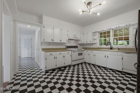 Tiny photo for 1405 Leon Drive, Jefferson City, TN 37760 (MLS # 1347482)