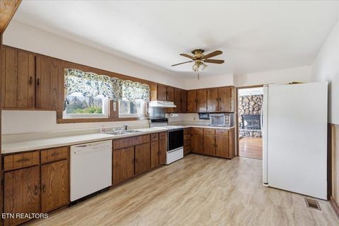 Tiny photo for 370 Brock Rd, Maynardville, TN 37807 (MLS # 1335959)