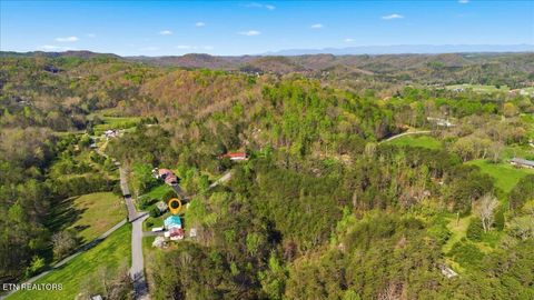 Tiny photo for 370 Brock Rd, Maynardville, TN 37807 (MLS # 1335959)