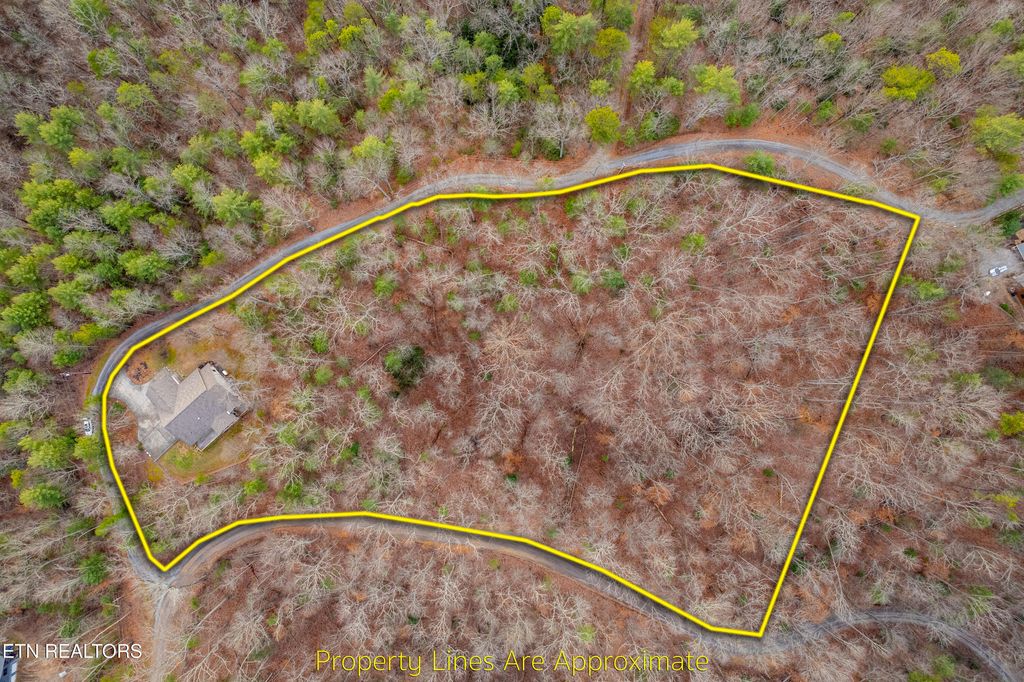 Photo of 2010 Christa Tr, Walland, TN 37886 (MLS # 1289460)