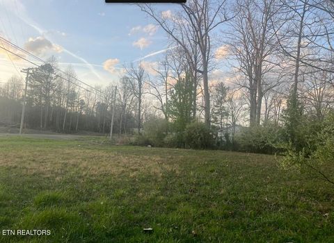 Photo of Glass House Rd, Helenwood, TN 37755 (MLS # 1334886)