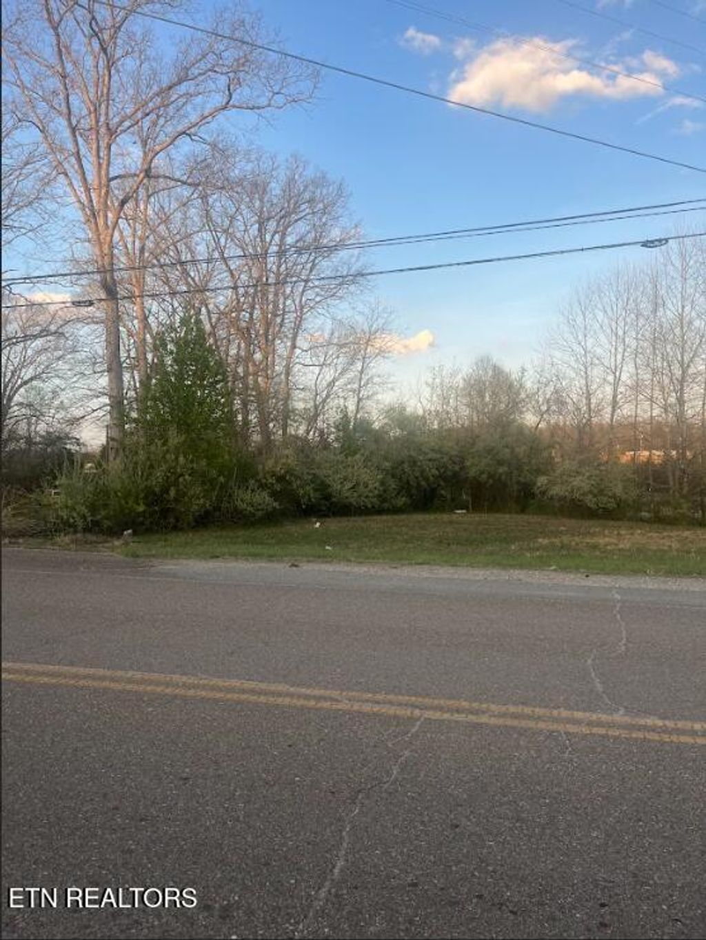 Photo of Glass House Rd, Helenwood, TN 37755 (MLS # 1334886)