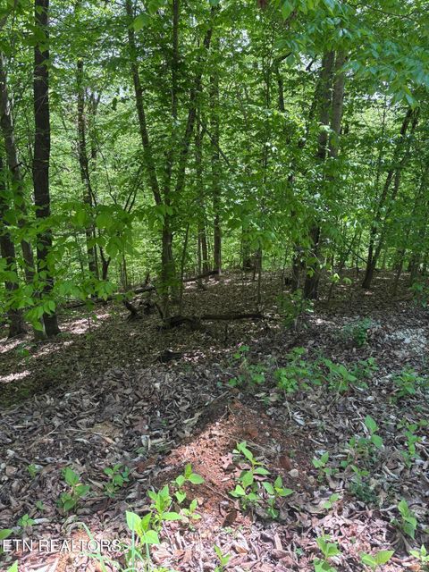 Photo of Grandpas Ridge, Sharps Chapel, TN 37866 (MLS # 1337565)