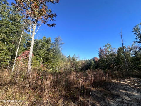 Tiny photo for 137 Laurel Rd, Jamestown, TN 38556 (MLS # 1359480)