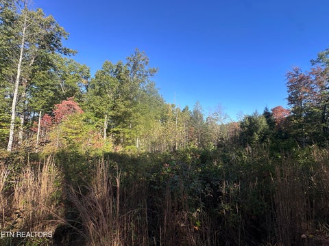 Tiny photo for 137 Laurel Rd, Jamestown, TN 38556 (MLS # 1359480)
