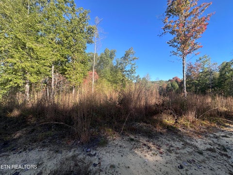 Tiny photo for 137 Laurel Rd, Jamestown, TN 38556 (MLS # 1359480)