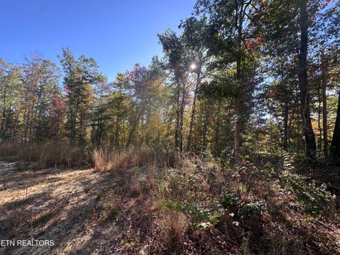 Tiny photo for 137 Laurel Rd, Jamestown, TN 38556 (MLS # 1359480)