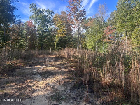 Tiny photo for 137 Laurel Rd, Jamestown, TN 38556 (MLS # 1359480)