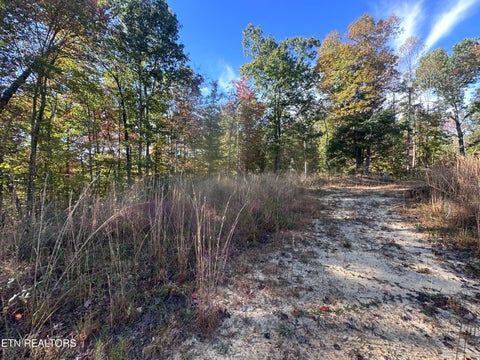 Tiny photo for 137 Laurel Rd, Jamestown, TN 38556 (MLS # 1359480)