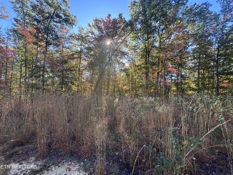 Tiny photo for 137 Laurel Rd, Jamestown, TN 38556 (MLS # 1359480)