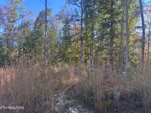 Tiny photo for 137 Laurel Rd, Jamestown, TN 38556 (MLS # 1359480)