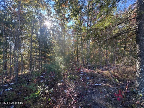 Tiny photo for 137 Laurel Rd, Jamestown, TN 38556 (MLS # 1359480)
