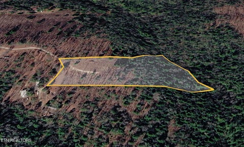 Tiny photo for 137 Laurel Rd, Jamestown, TN 38556 (MLS # 1359480)