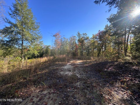 Photo of 137 Laurel Rd, Jamestown, TN 38556 (MLS # 1359480)