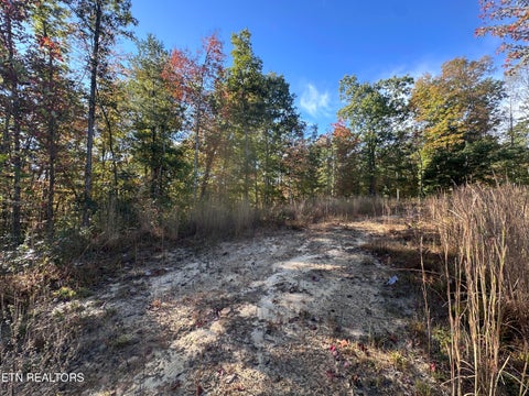 Tiny photo for 137 Laurel Rd, Jamestown, TN 38556 (MLS # 1359480)