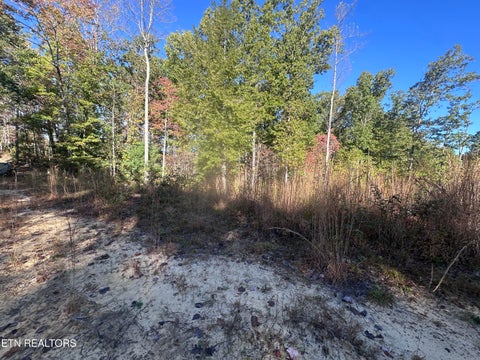 Tiny photo for 137 Laurel Rd, Jamestown, TN 38556 (MLS # 1359480)