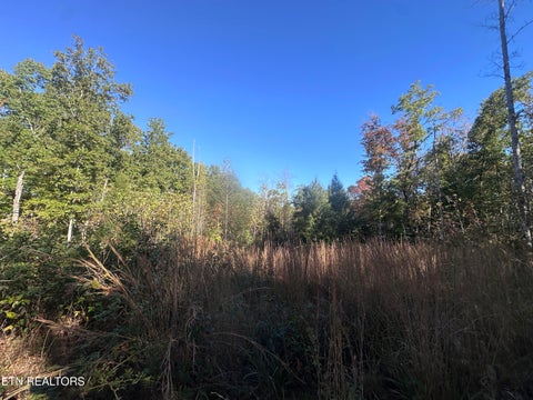 Tiny photo for 137 Laurel Rd, Jamestown, TN 38556 (MLS # 1359480)