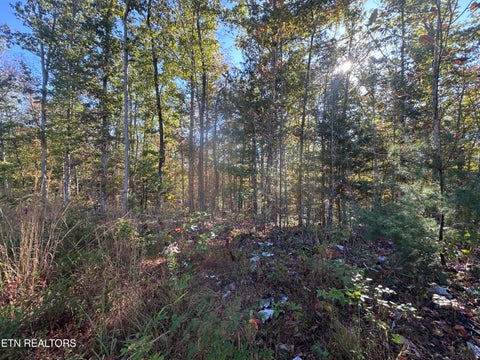Tiny photo for 137 Laurel Rd, Jamestown, TN 38556 (MLS # 1359480)