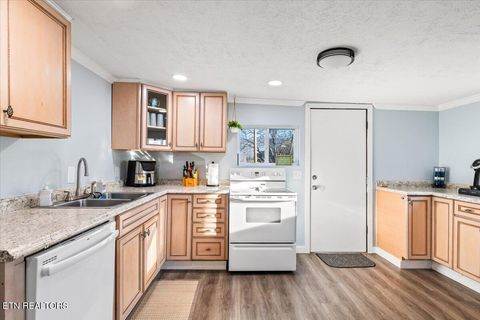 Tiny photo for 170 Bow Point Rd, LaFollette, TN 37766 (MLS # 1327193)