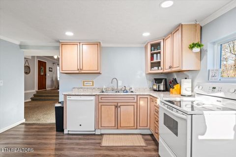 Tiny photo for 170 Bow Point Rd, LaFollette, TN 37766 (MLS # 1327193)