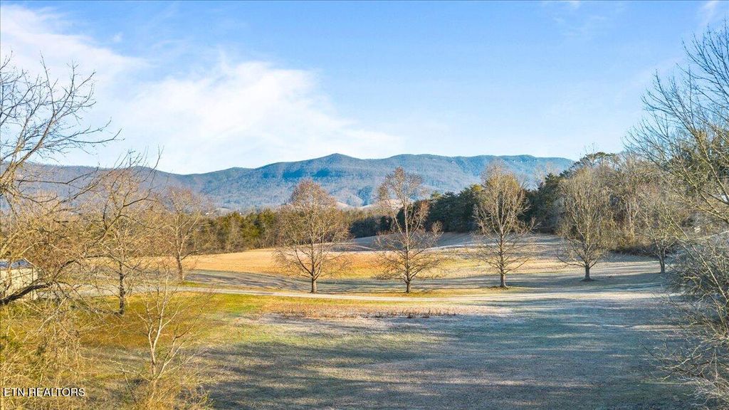 Photo of 170 Bow Point Rd, LaFollette, TN 37766 (MLS # 1327193)
