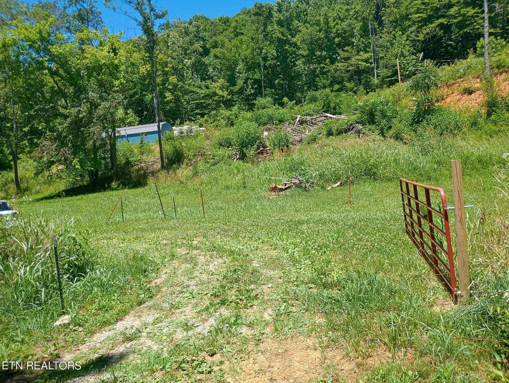 Photo of 1037 Little Valley Rd, Tazewell, TN 37879 (MLS # 1268139)